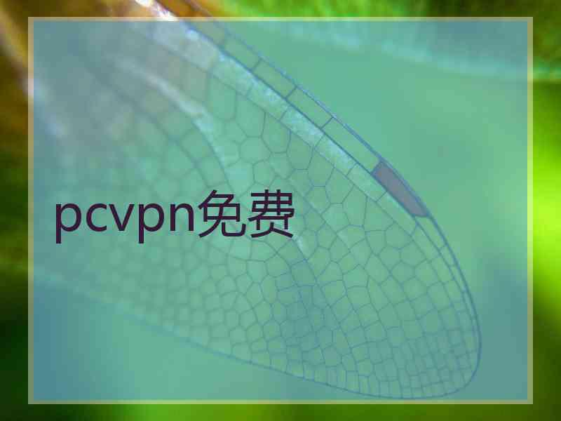 pcvpn免费