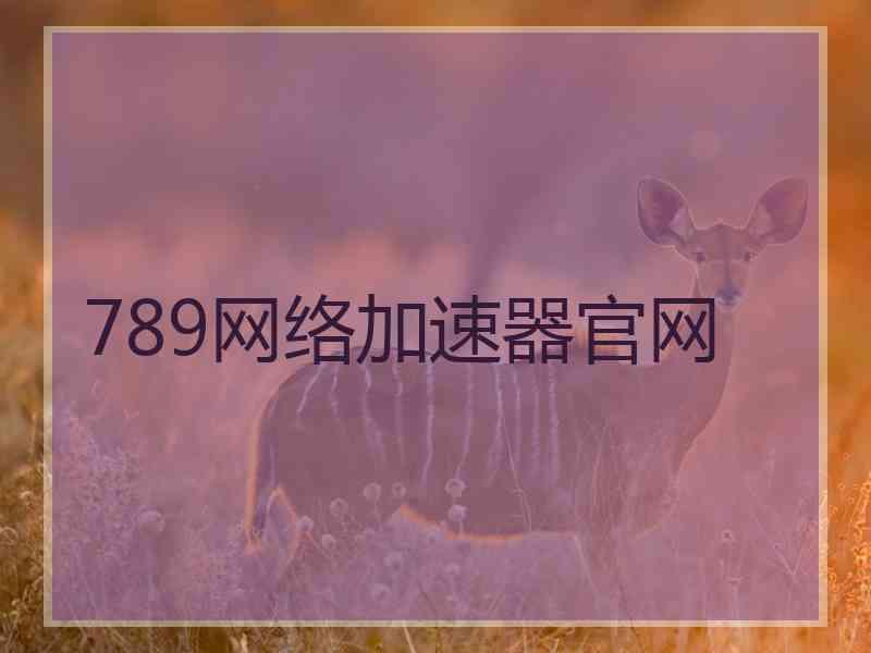 789网络加速器官网