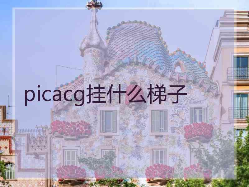 picacg挂什么梯子