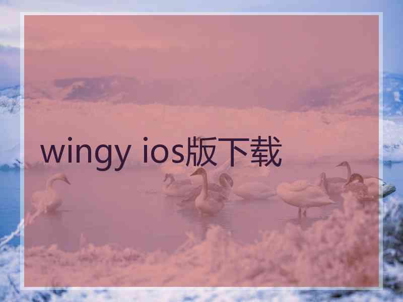 wingy ios版下载