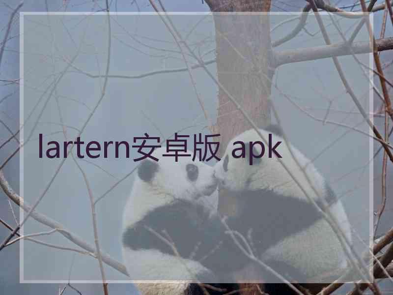 lartern安卓版 apk