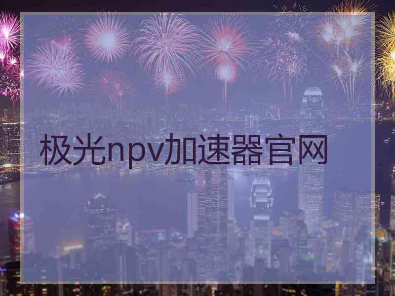 极光npv加速器官网