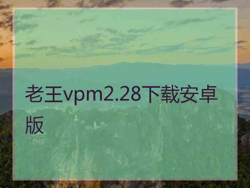 老王vpm2.28下载安卓版