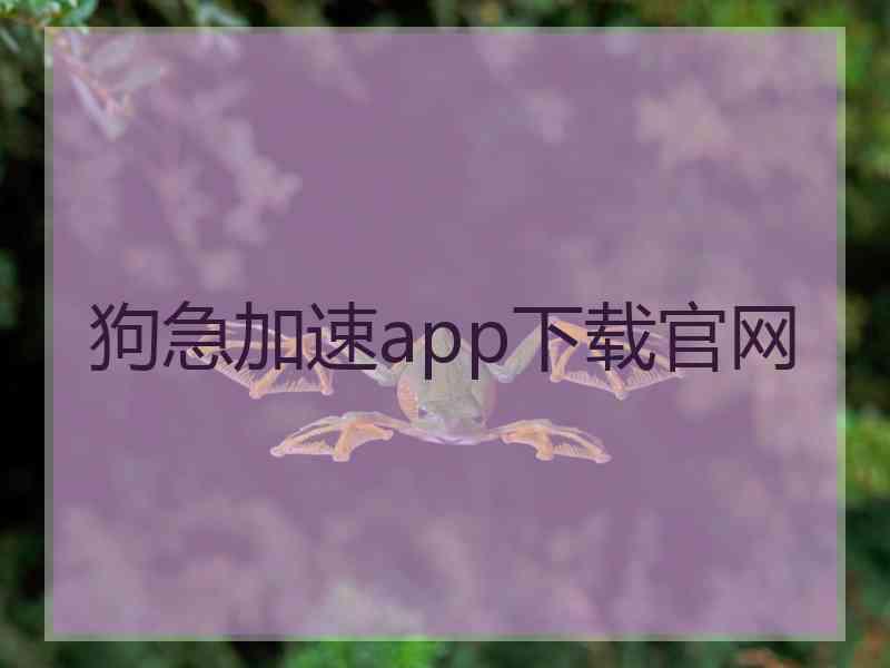 狗急加速app下载官网