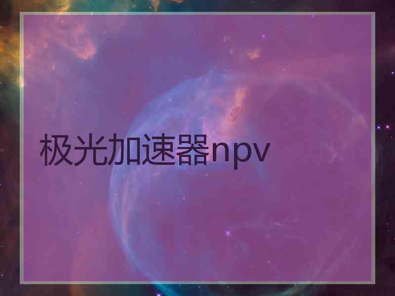 极光加速器npv