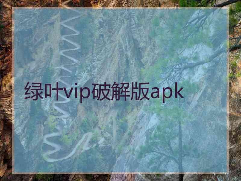 绿叶vip破解版apk