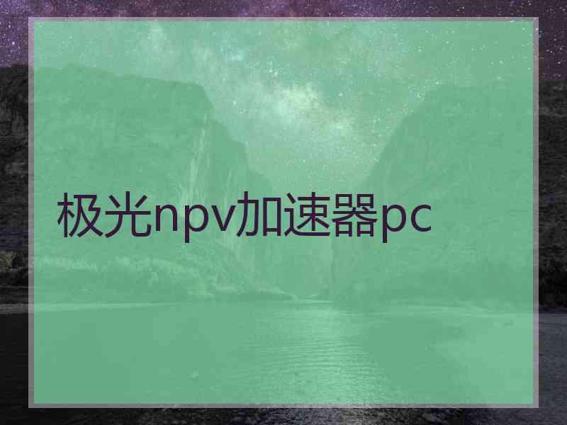 极光npv加速器pc