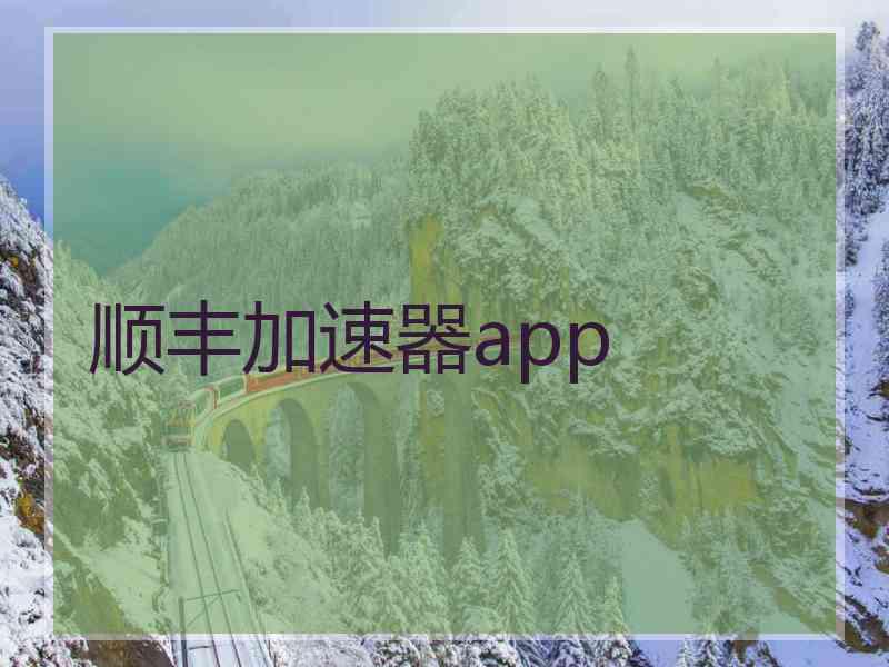 顺丰加速器app