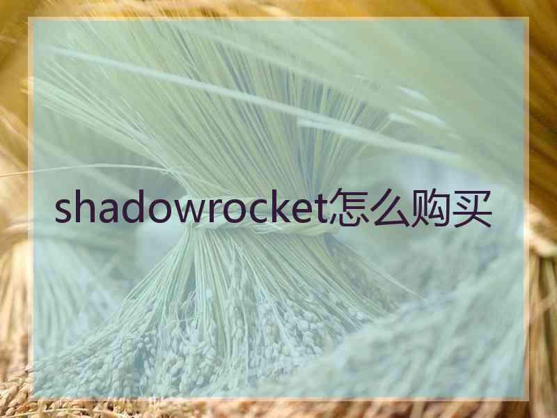 shadowrocket怎么购买