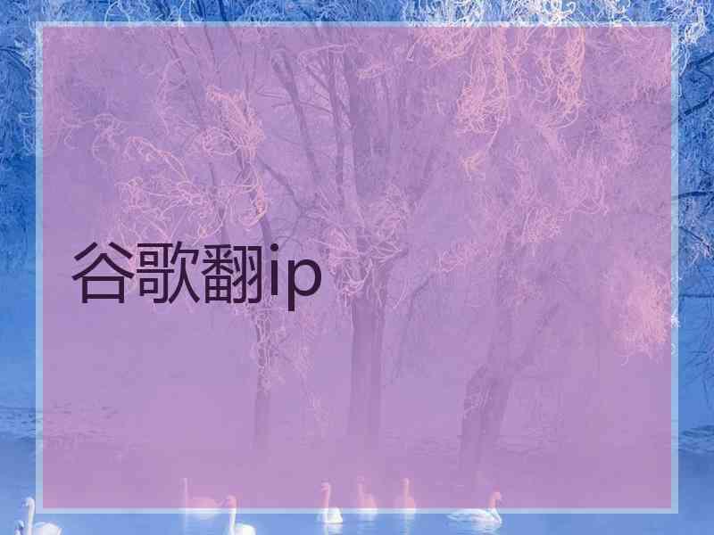 谷歌翻ip