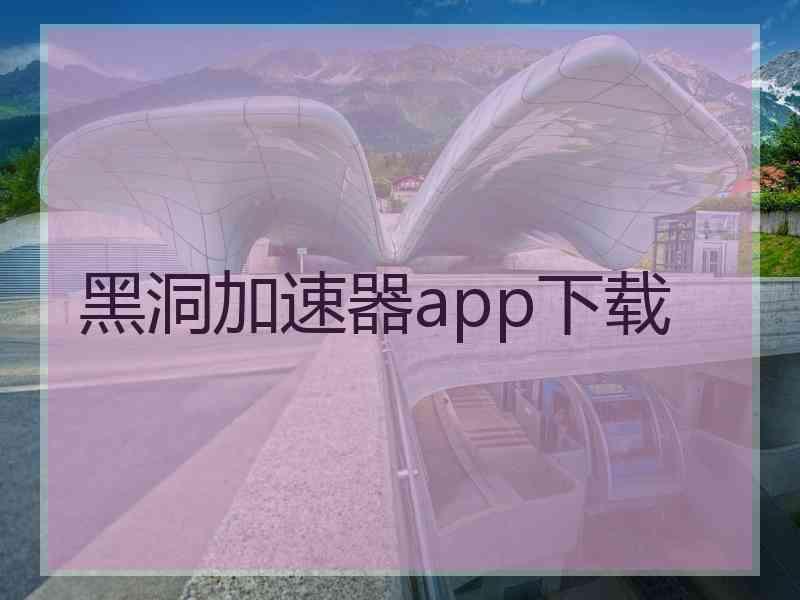 黑洞加速器app下载