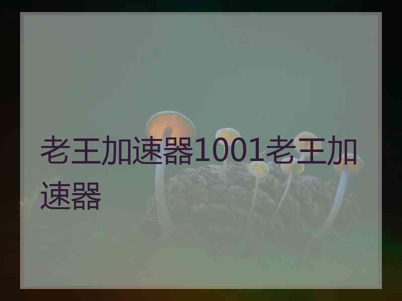 老王加速器1001老王加速器