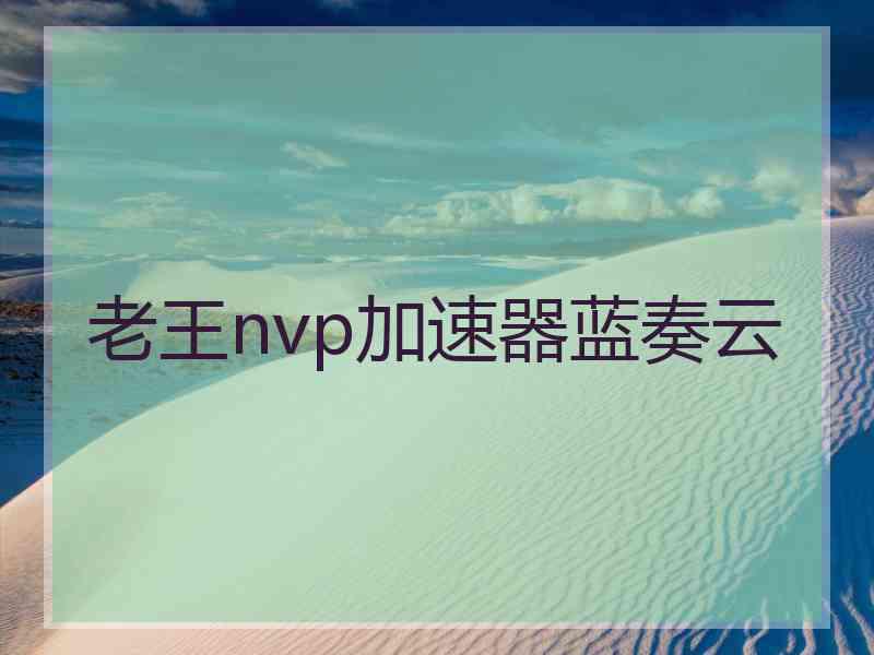 老王nvp加速器蓝奏云