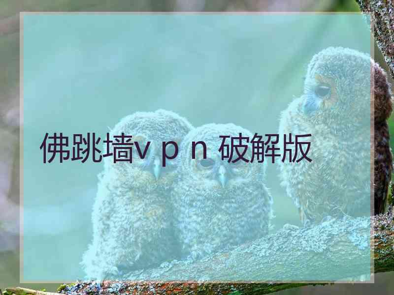 佛跳墙v p n 破解版