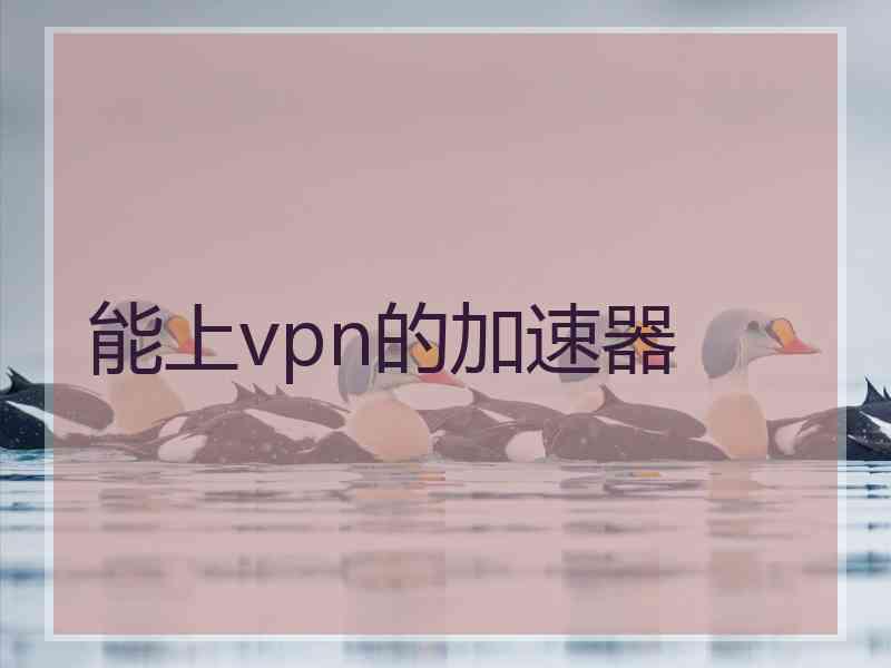 能上vpn的加速器