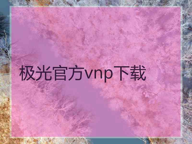 极光官方vnp下载