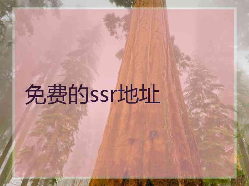 免费的ssr地址