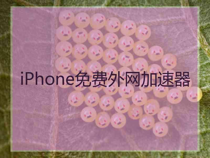 iPhone免费外网加速器