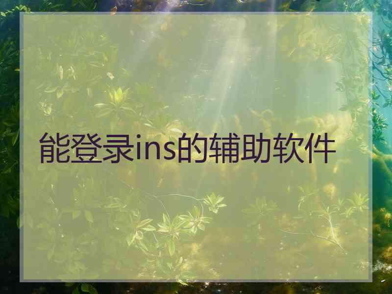 能登录ins的辅助软件