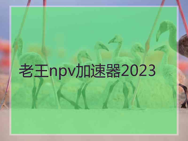 老王npv加速器2023