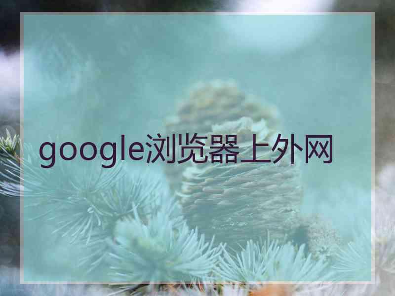 google浏览器上外网