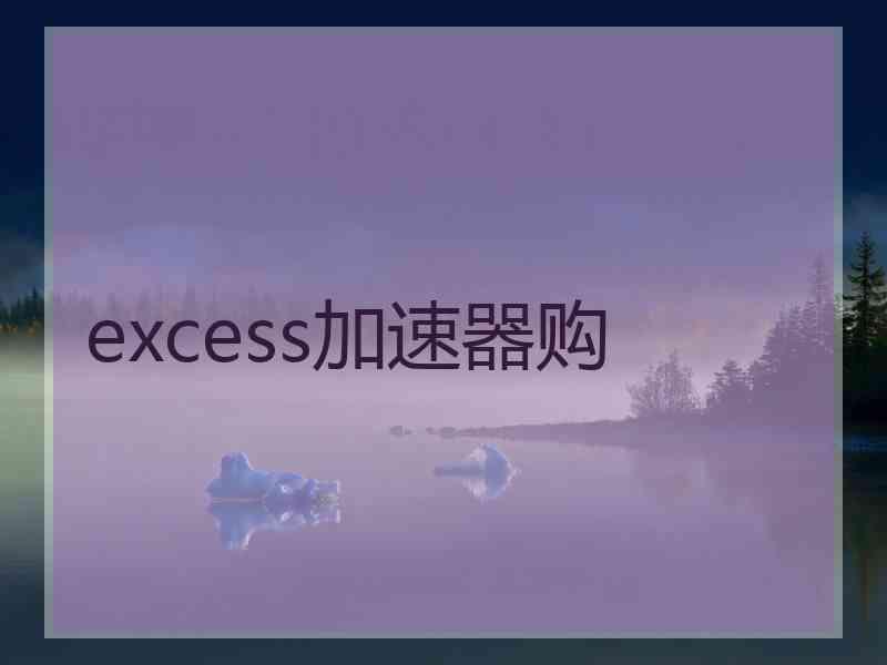 excess加速器购