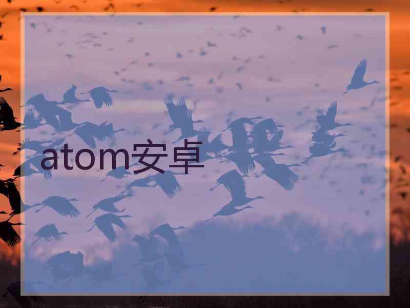 atom安卓