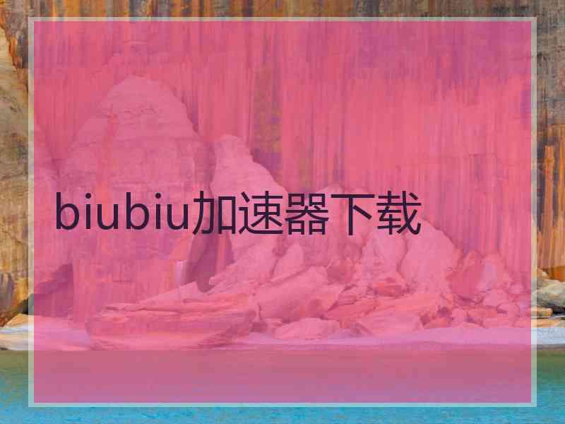 biubiu加速器下载