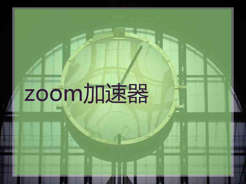 zoom加速器