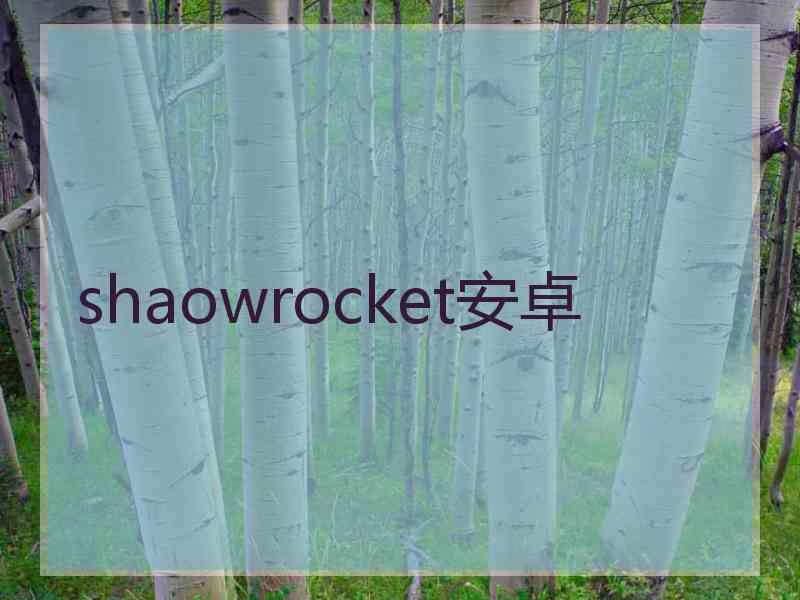 shaowrocket安卓