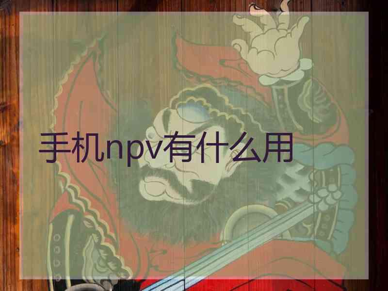 手机npv有什么用