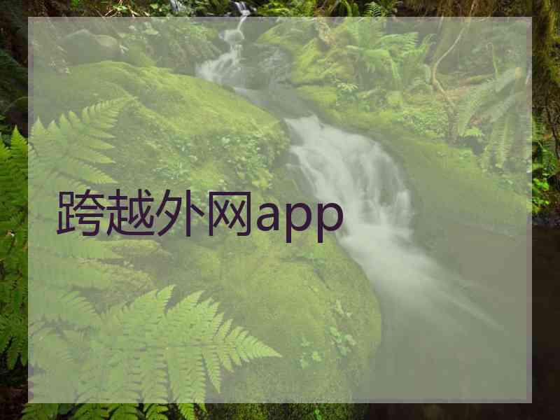 跨越外网app