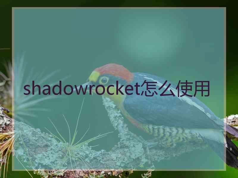 shadowrocket怎么使用