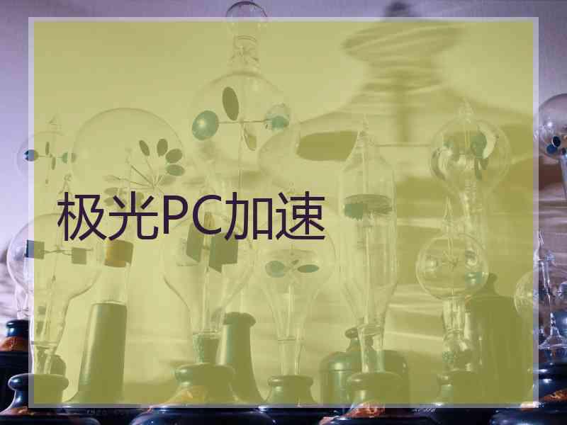 极光PC加速