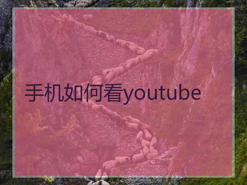 手机如何看youtube