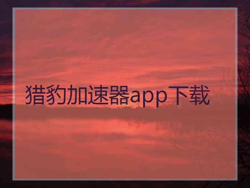 猎豹加速器app下载