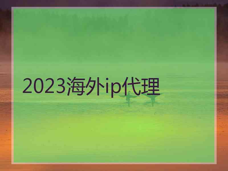 2023海外ip代理