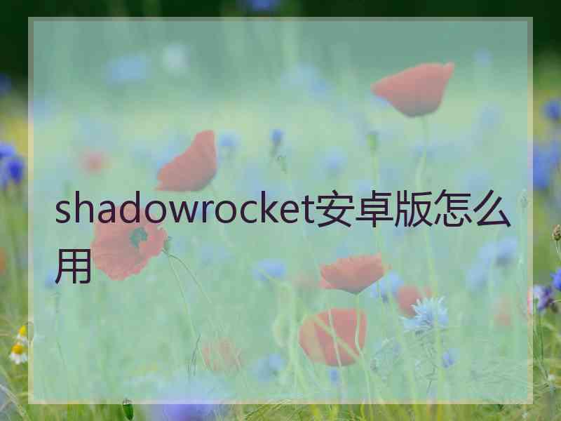 shadowrocket安卓版怎么用