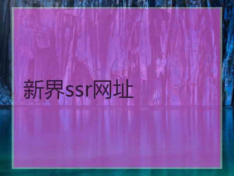 新界ssr网址