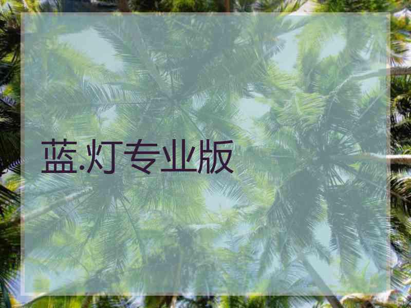 蓝.灯专业版