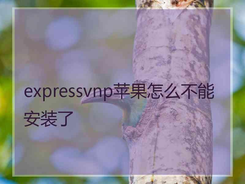 expressvnp苹果怎么不能安装了