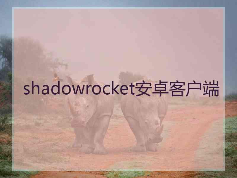 shadowrocket安卓客户端