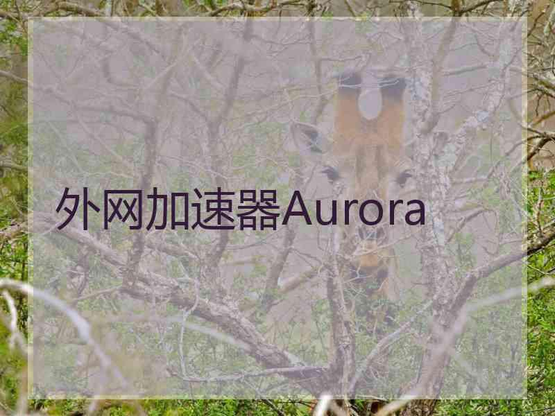 外网加速器Aurora