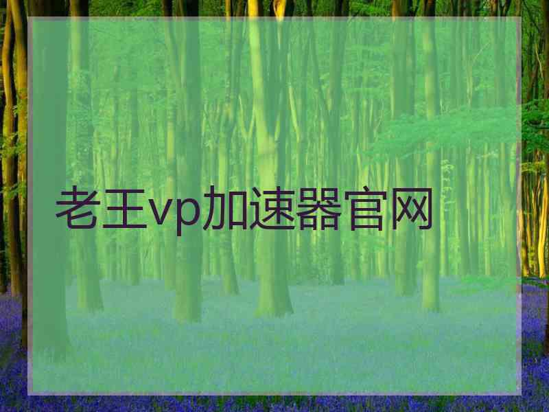 老王vp加速器官网