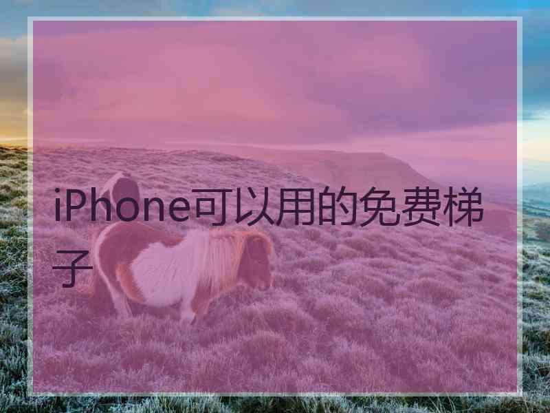 iPhone可以用的免费梯子