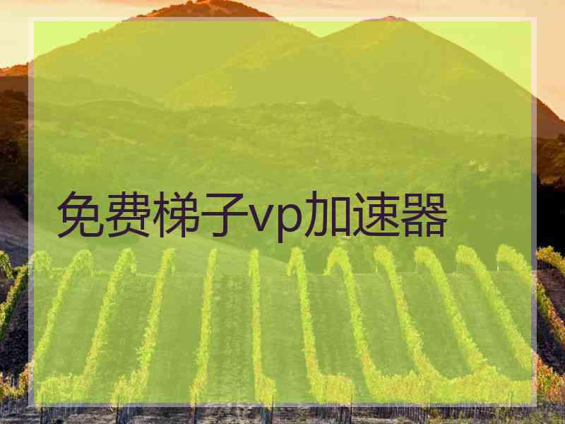 免费梯子vp加速器