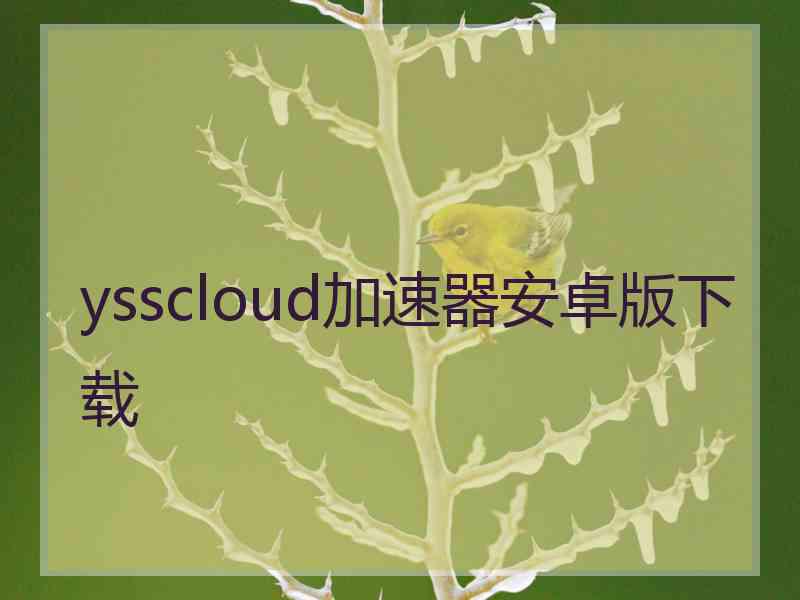 ysscloud加速器安卓版下载