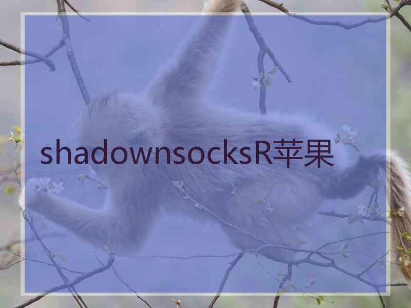 shadownsocksR苹果