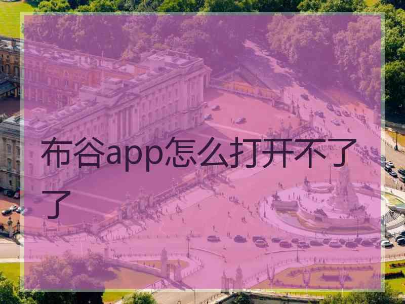 布谷app怎么打开不了了