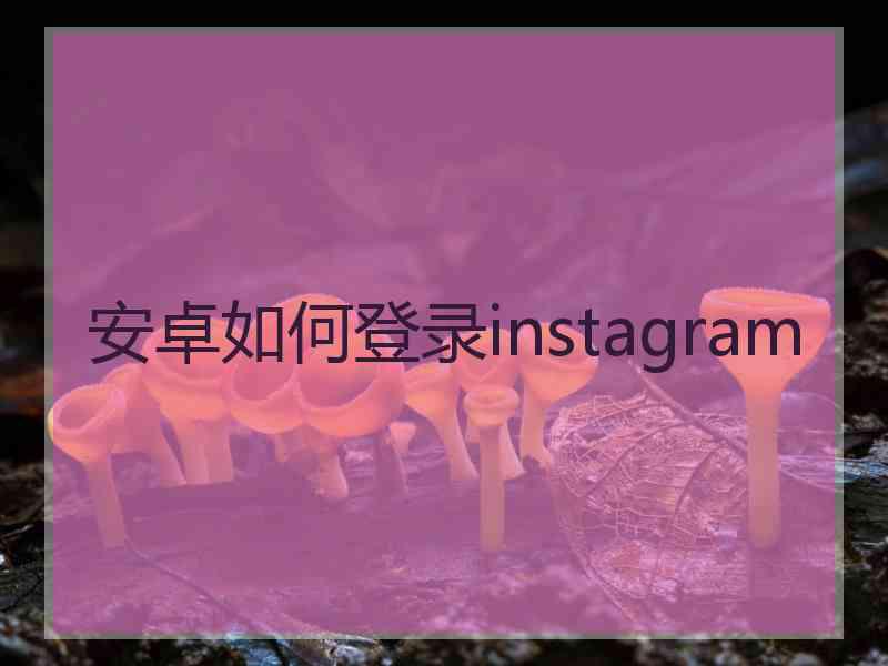 安卓如何登录instagram